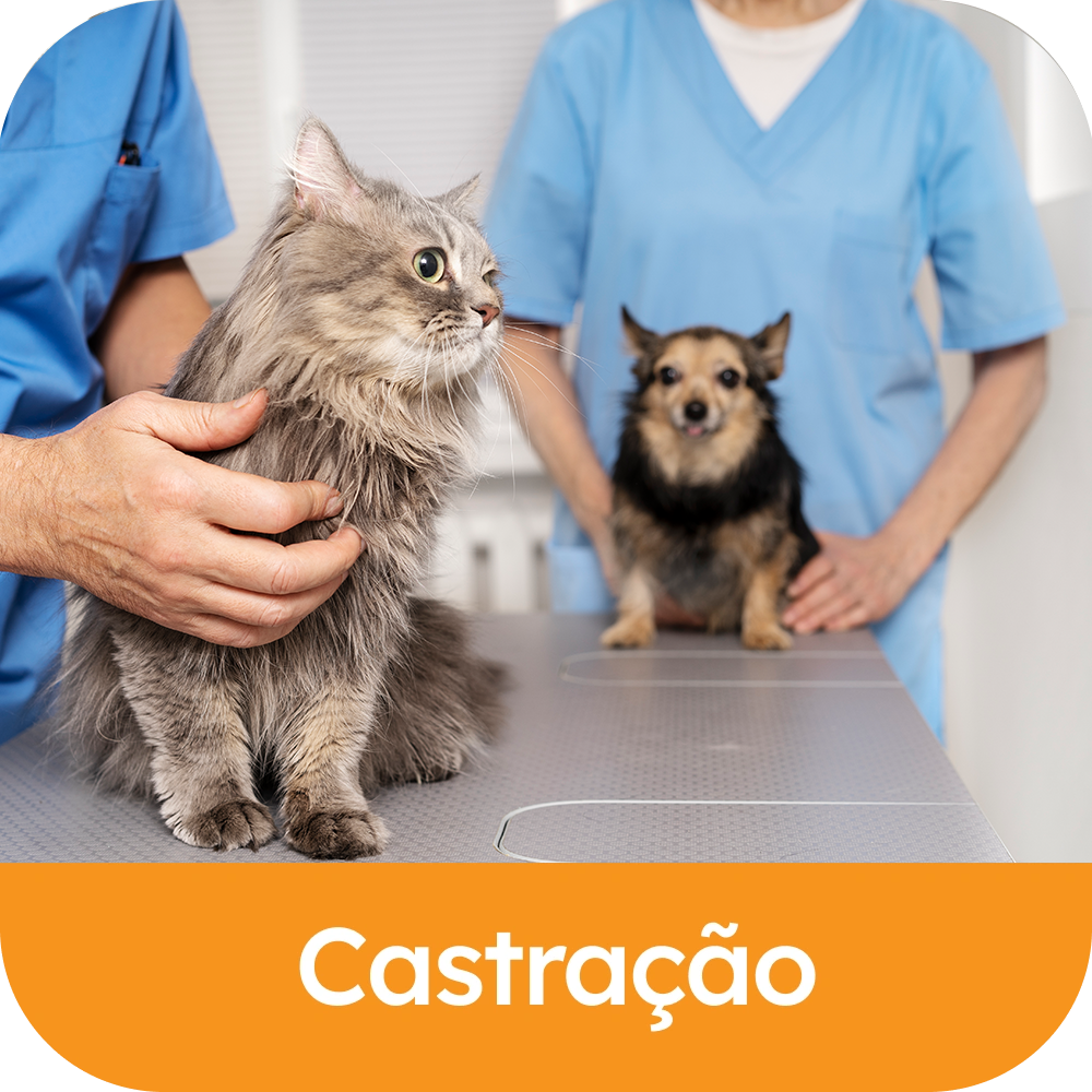 Castração